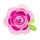 Питомник роз